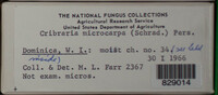 Image Associated With the Occurence